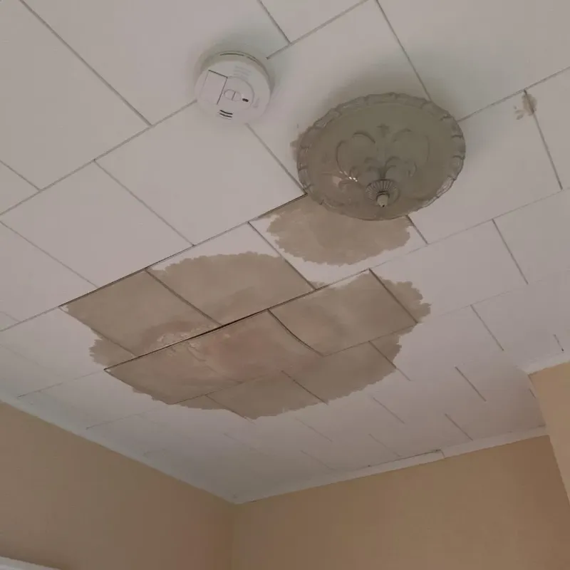 Ceiling Water Damage Repair in Plantersville, MS