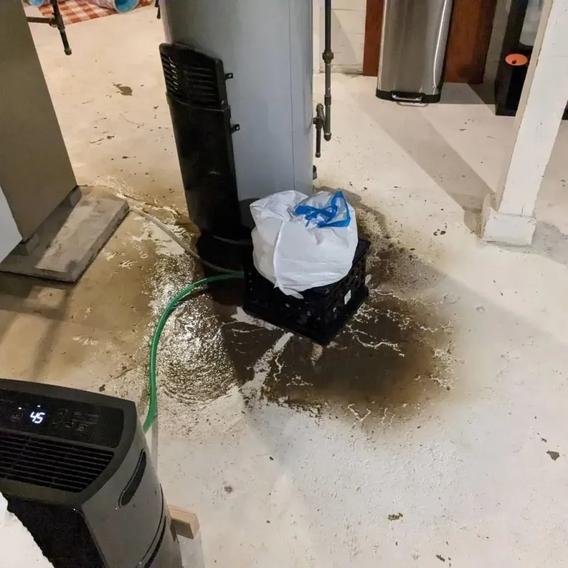 Sewage Backup Cleanup Service in Plantersville, MS